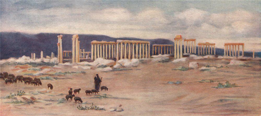 'General view of the colonnade, Palmyra' by Margaret Thomas. Syria 1908 print